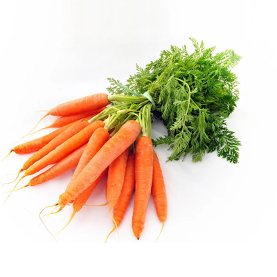Wholesale Carrots