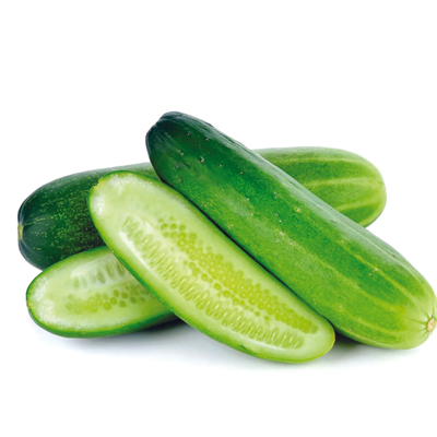 Wholesale Cucumbers