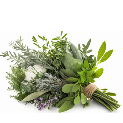 Fresh Herbs Selection
