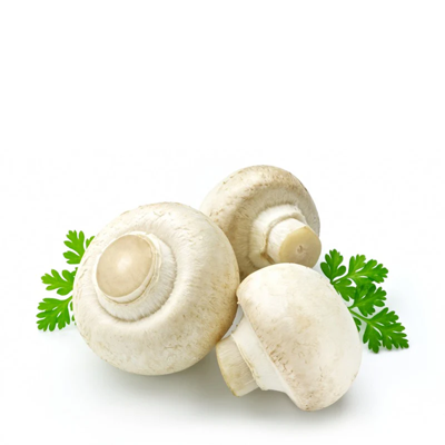 Wholesale Mushrooms