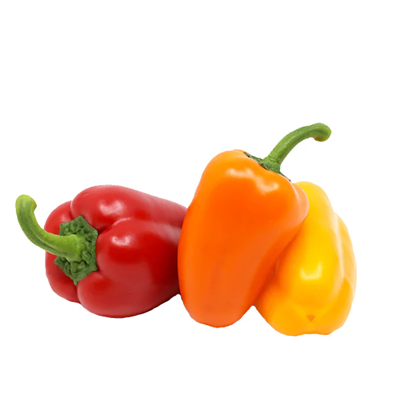 Wholesale Bell Peppers